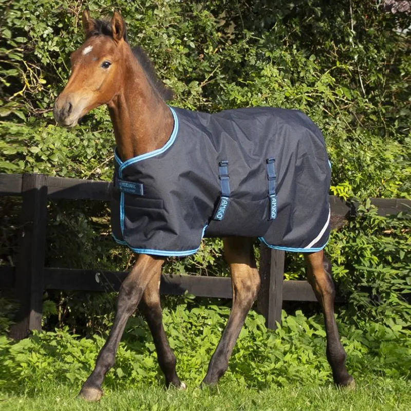 Horseware Amigo Foal Rug 50g Turnout Rug-1